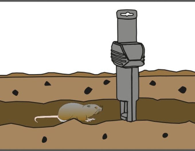 Schweizer Inno Super Cat Wühlmausfalle