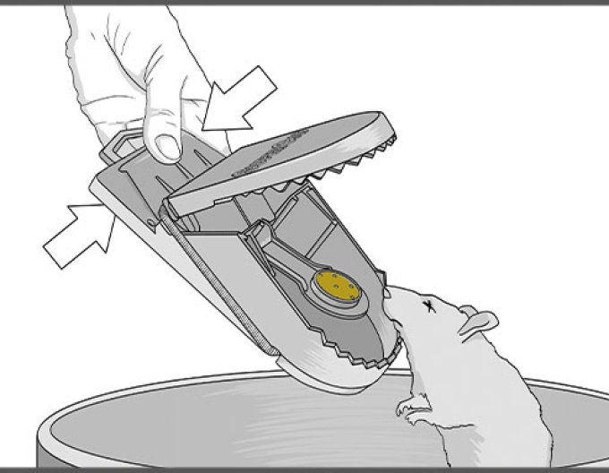 Swiss Inno Super Rattenfalle