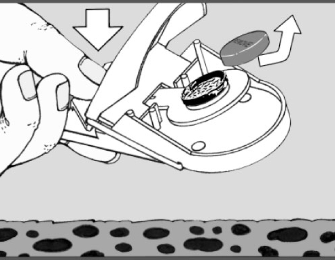 Swiss Inno Super Cat Mausefalle ein Paar