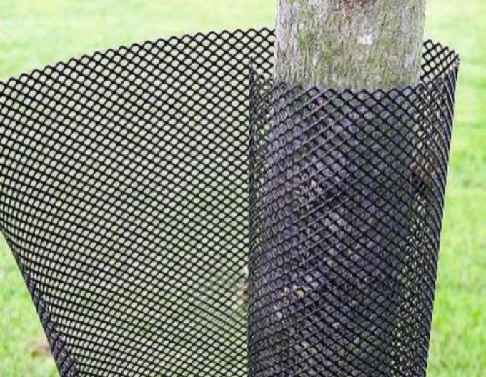 Stammschutz TREEX - Flexguard 11x80cm / 3x3mm