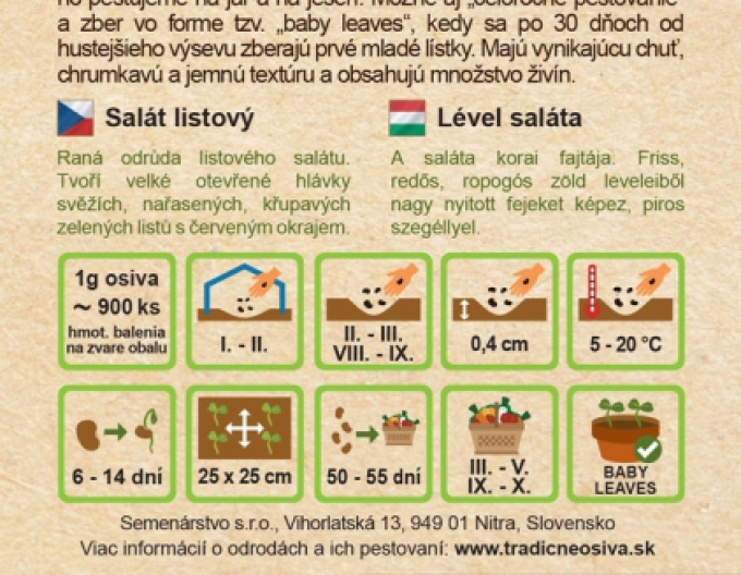 Kopfsalat Biscia Rossa