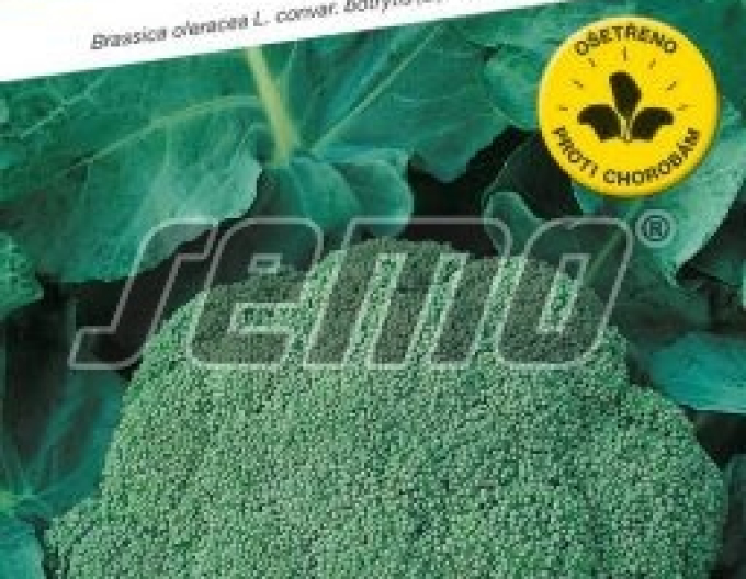 Semo Brokkoli Steel F1