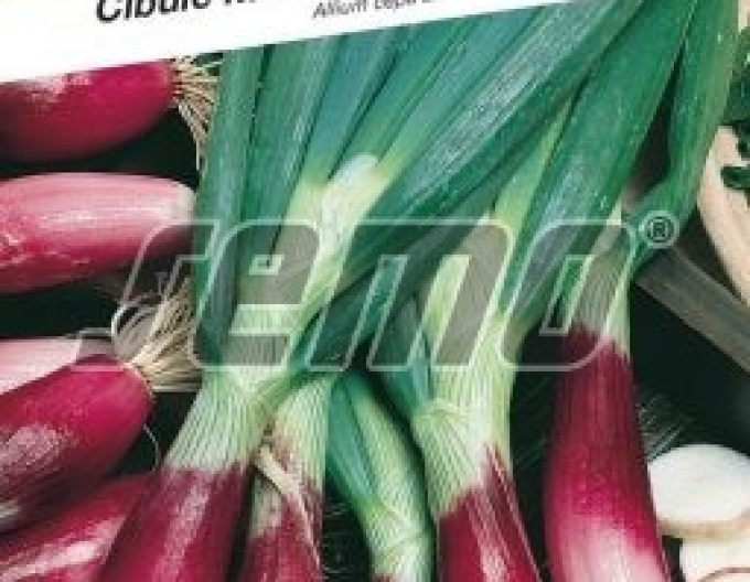 Semo Zwiebel Rossa di Firenze