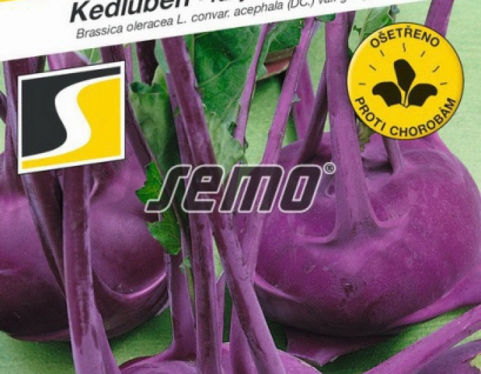 Semo Kohlrabi Modrava F1