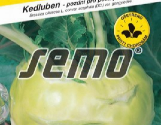 Semo Kohlrabi Gigant