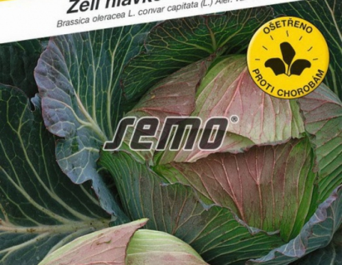 Semo Weißkohl  Pourovo Spät