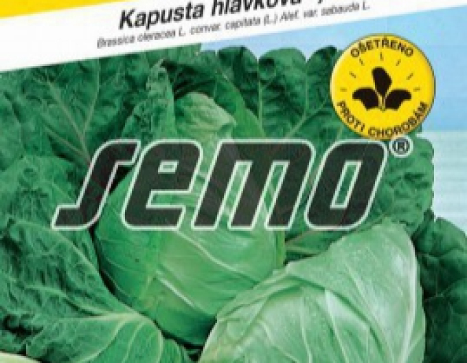 Semo Wirsing „Predzvesť“