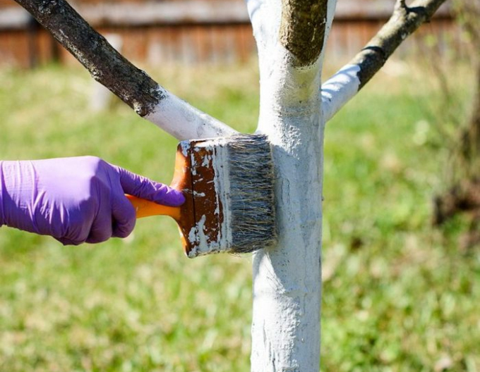 Biovita Kalk zum Bleichen von Bäumen und Sträuchern 2kg