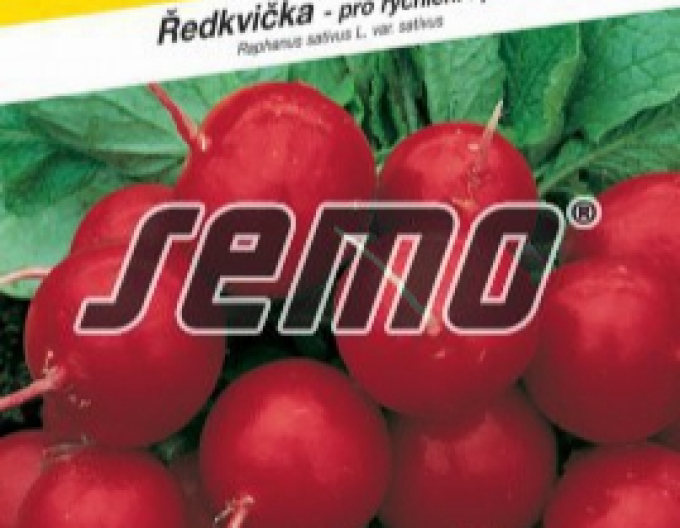 Semo Radieschen Granat