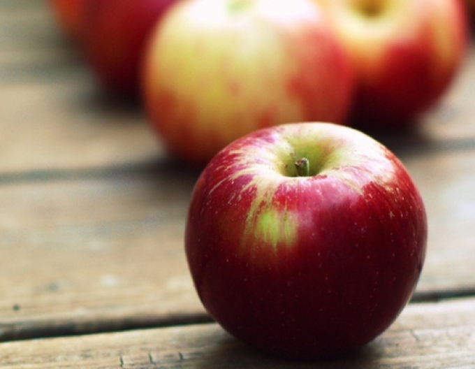 Apfelbaum Gala Winter, sub. M26, freihändig.