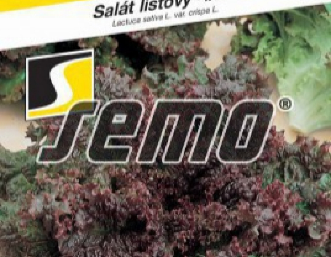 Semo Kopfsalat Roden