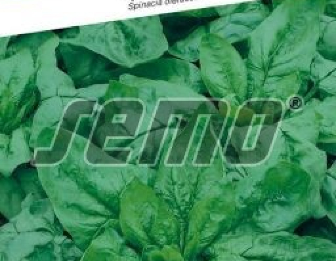 Semo Spinat Monores