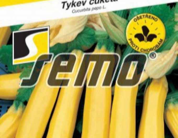 Semo Gelbe Zucchini Goldline F1