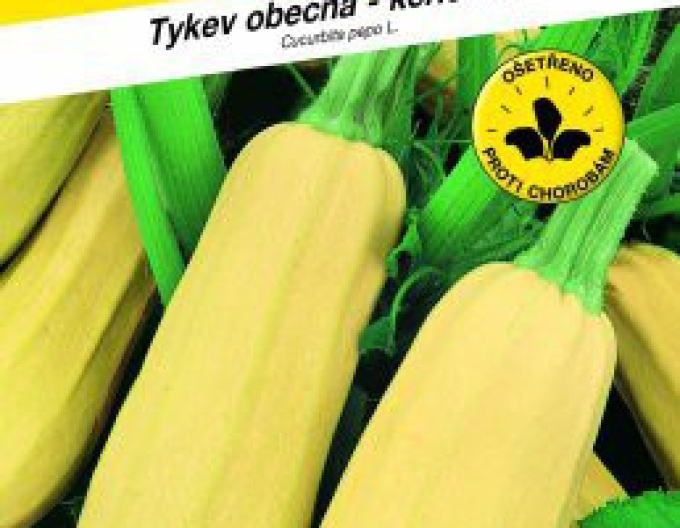 Samen Kürbisstrauch Kveta