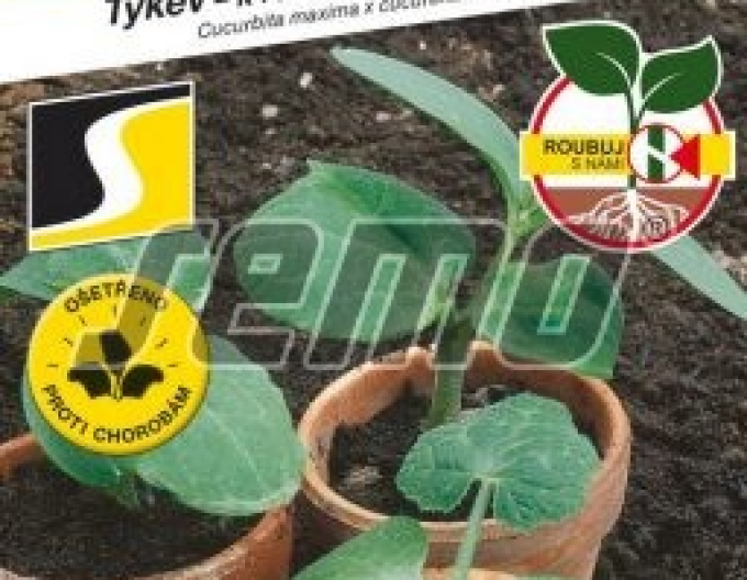 Semo Kurbis zum Veredeln Bolt F1