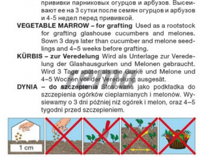 Semo Kurbis zum Veredeln Bolt F1