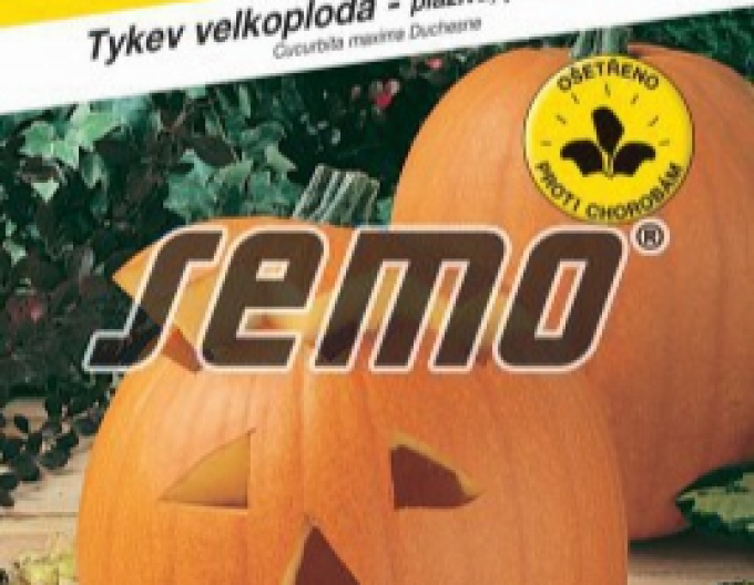 Semo Riesenkürbis Gran Gigante