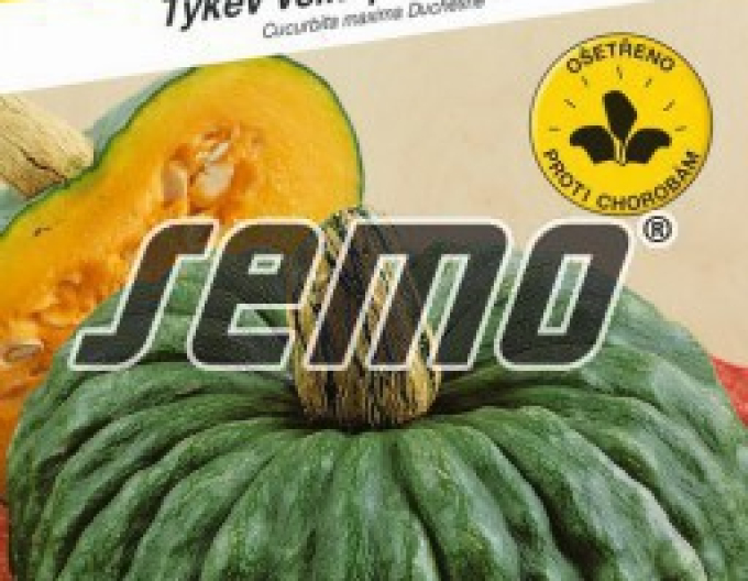 Semo Riesenkürbis Marina di Chioggia