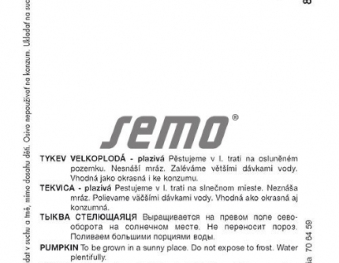 Semo Riesenkürbis Marina di Chioggia