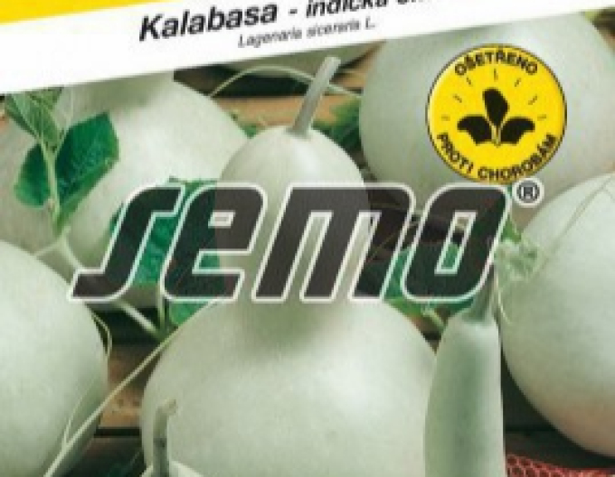 Semo Flaschenkürbis Birdhouse Bottle