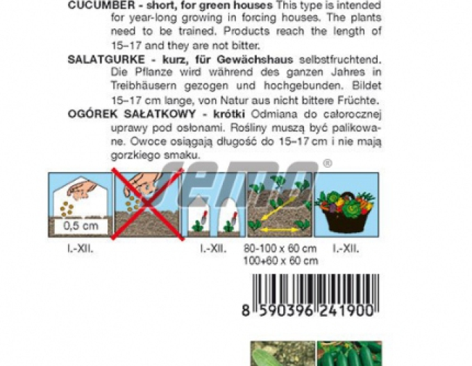 Semo Salatgurke Baby F1