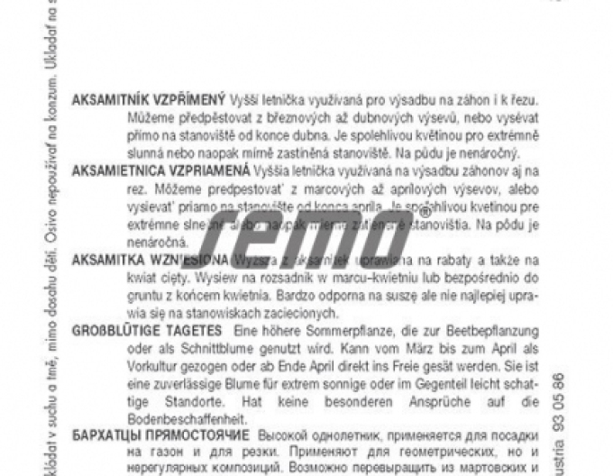 Semo Tagetes Kilimanjaro White