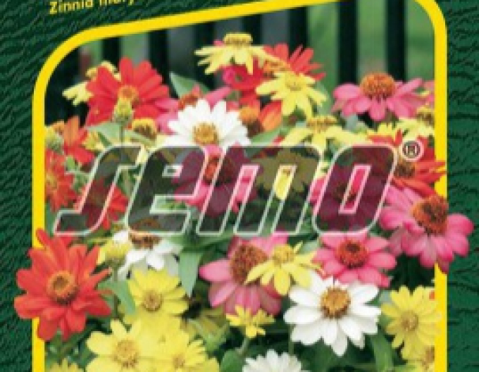 Semo Zinnie Zahara mix