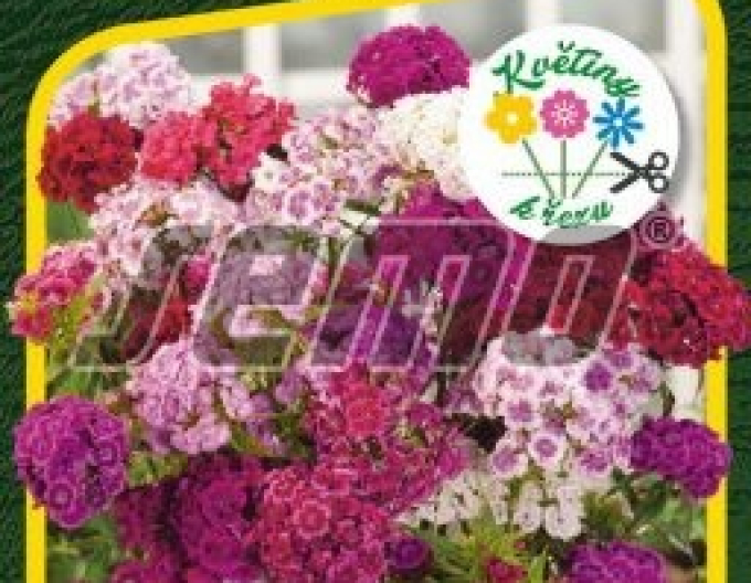 Semo Nelke Fragrance Mix