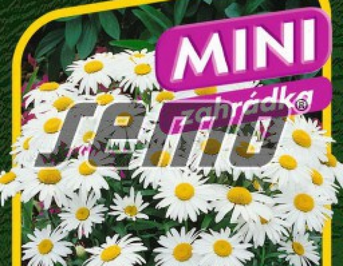 Semo Margerite Silver Prinzess