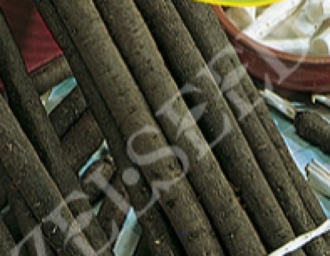 Zelseed Schwarzwurzel