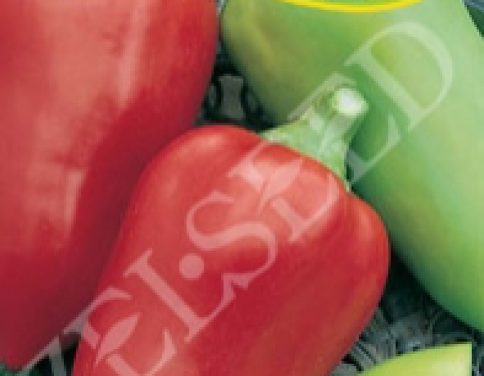 Zelseed Paprika Polanova