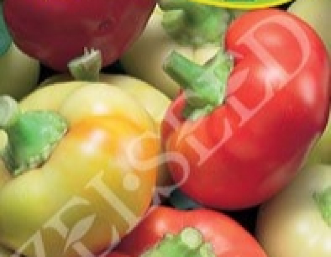 Zelseed Paprika Ilika