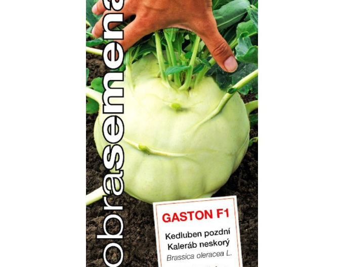 Dobrá semená Kohlrabi Gaston F1