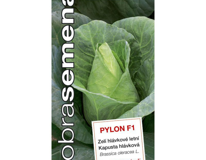 Dobrá semená Weißkohl Pylon F1