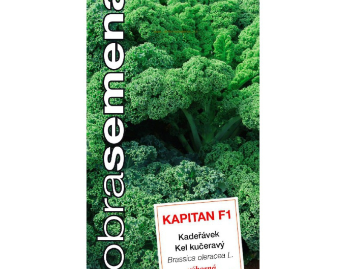 Dobrá semená  Wirsing Capitan F1