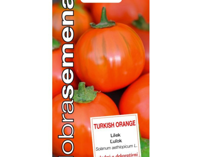Dobrá semená  Aubergine Turkish Orange