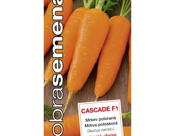 Dobrá semená Karotte Cascade F1
