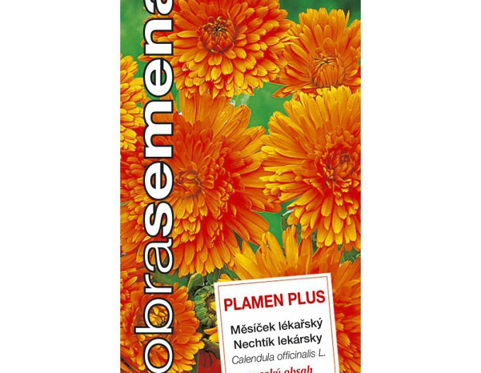 Dobrá semená Ringelblume Plamen Plus