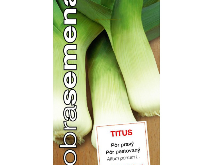 Dobrá semená Lauch Titus