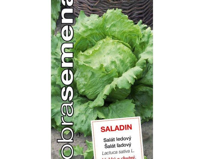 Dobrá semená Kopfsalat Saladin