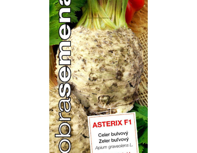 Dobrá semená Knollensellerie Asterix F1