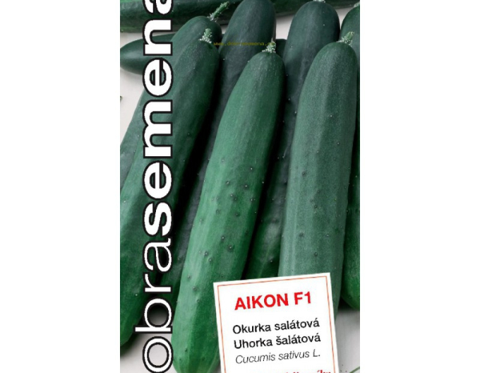 Dobrá semená Salatgurke Gurke Aikon F1