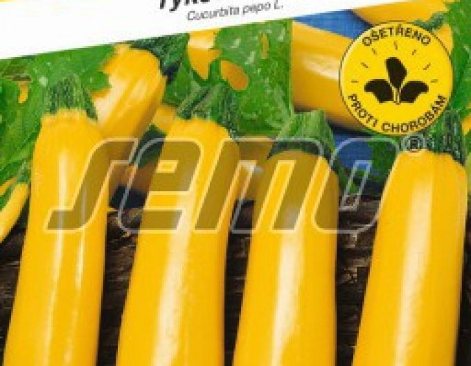 Semo Zucchini Orelia F1