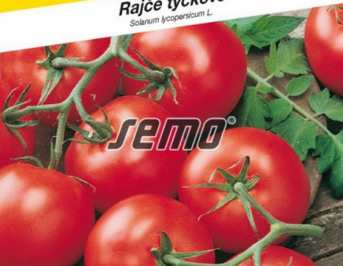 Semo Stabtomate Start S F1