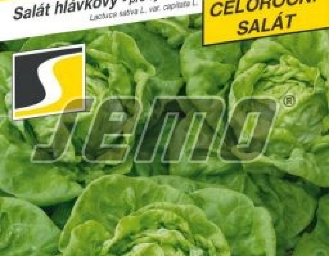 Semo Kopfsalat  Bremex
