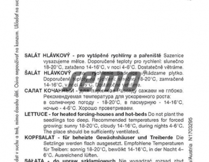 Semo Kopfsalat  Bremex