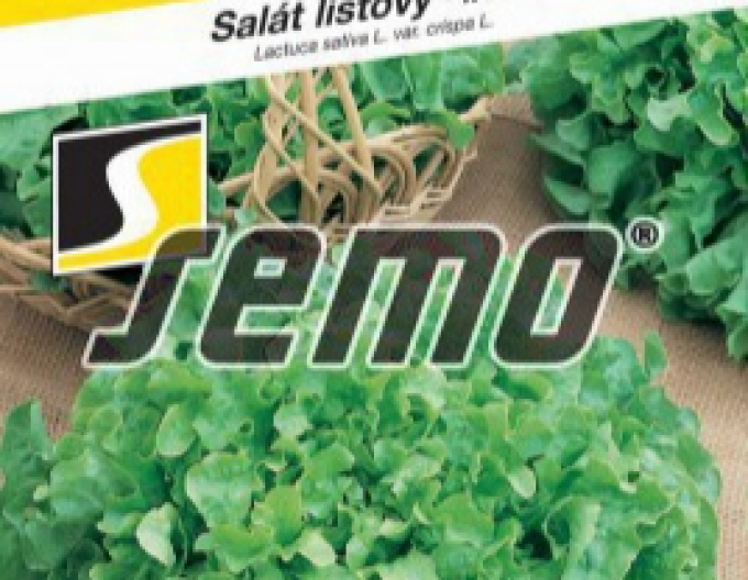Semo Blattsalat „Dubagold“