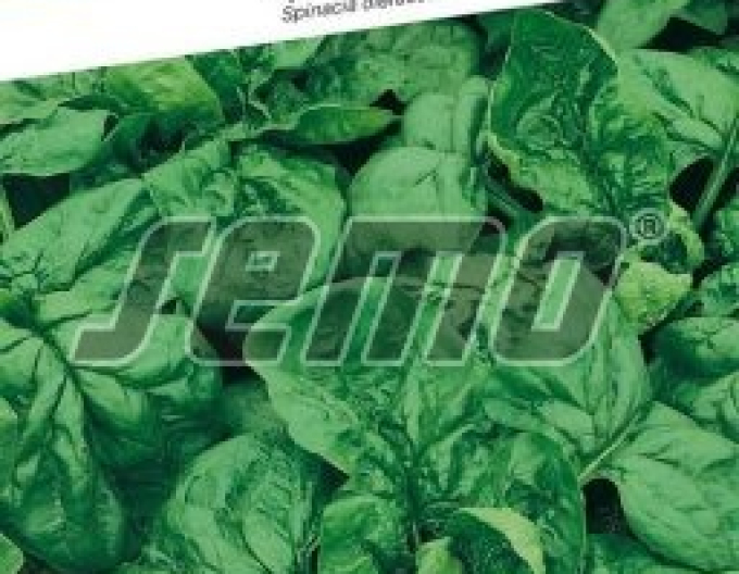 Semo Spinat Matador