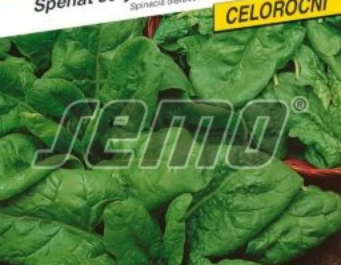 Semo Spinat Sacramento F1