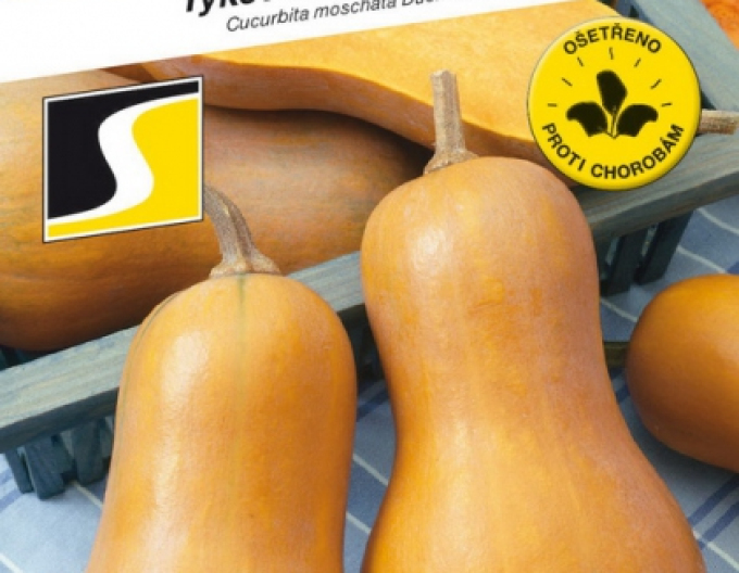 Semo Muskatkürbis Laura